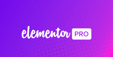 Destaque WordPress - Plugin - Elementor Pro